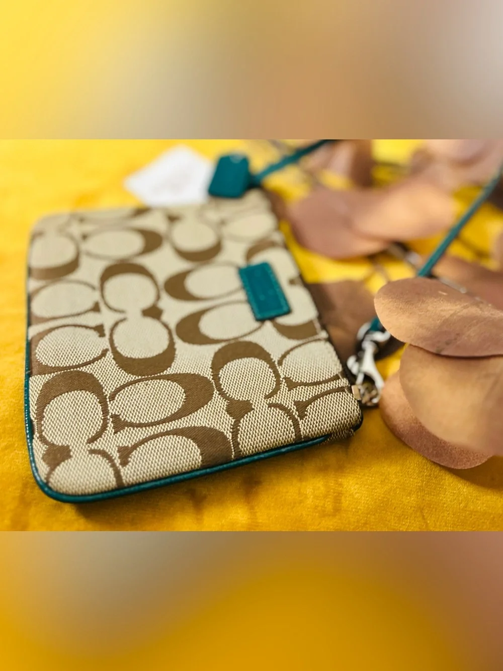 Coach Signature Canvas Wristlet with Teal Trim